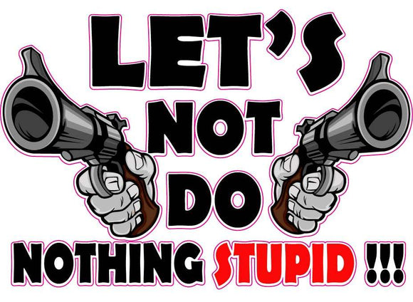 Let's Not Do Nothing Stupid Decal