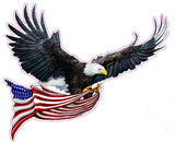 Right Facing Soaring Eagle Flying with American Flag