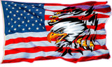 Ripped American Flag Eagle Decal