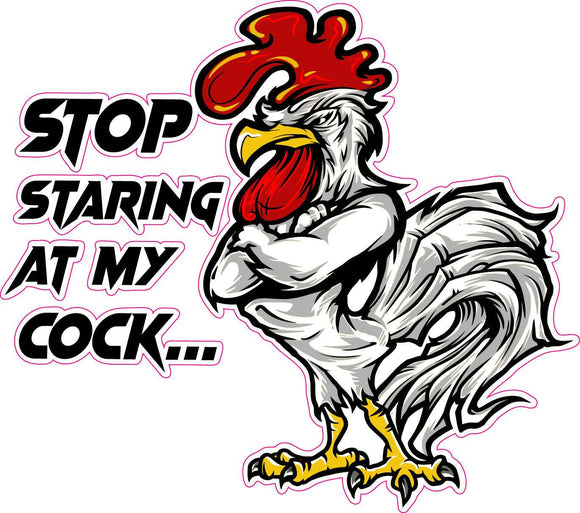 Stop Staring at my cock decal