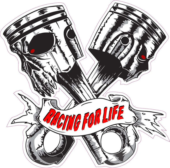 Skulls Pistons Racing for Life Version 1 Decal
