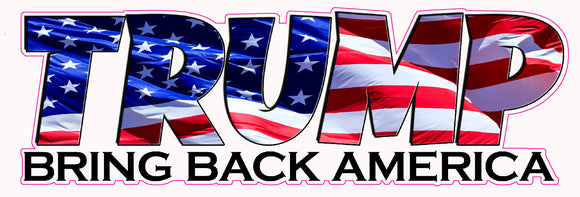Trump Bring Back America decal