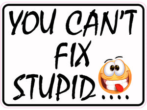 You Can't Fix Stupid Decal